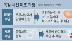 고령 외 공통점 없고 질환 없이 사망도