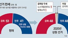 상원 다수당 여부 조지아 선택에 달렸다