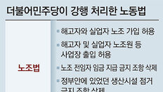 노조서 생산시설 점거해도 못막아… 재계 “기업 하지말라는 얘기”