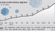 변이 감염 12건 추가… “설 맞물려 변이 확산땐 4차 대유행 우려”