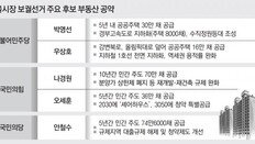 與도 野도 부동산 공급확대, 실현은 미지수