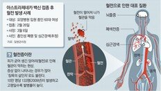 질병청,‘혈전 확인’ 닷새 지나 공개… “백신 불안 키우는 대응” 비판