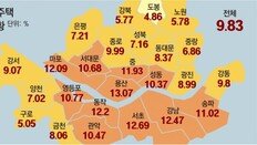 단독주택도 ‘공시가 쇼크’… 서울 평균 10% 뛰어 稅부담 커져