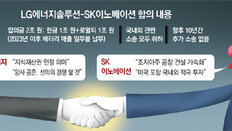 USTR대표, LG-SK 사장과 화상회의로 협상 설득… 양사 전격 합의