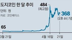 ‘도지데이’에 폭락한 도지코인… 제2 게임스톱 되나