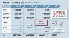 노바백스마저 국내 도입 늦춰져… ‘백신 수급’ 또 꼬일 우려