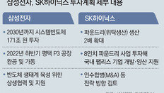 삼성 “시스템반도체 171조 투자”… SK “파운드리 생산 2배로”