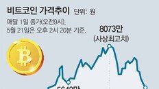 “美 코인과세 시장개입 신호”… 가격하락