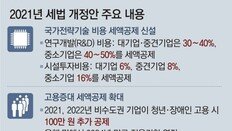 국가전략기술 등 대기업 8669억원 감세, 직원 뽑으면 세액공제 2024년까지 연장