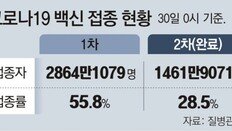 [단독]코로나 백신과 겹쳐… 올해 독감접종 사전예약제 도입