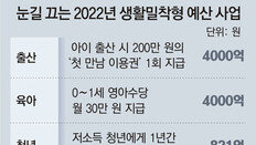 이건희 컬렉션 관리에 58억… 출산지원금 200만원