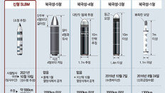 北 ‘소형 SLBM’ 포착-요격 더 어려워져… 軍안팎 “대남 타격용”