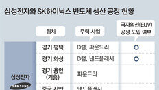 美-中 반도체 갈등 불똥… SK하이닉스 中공장 첨단화 막히나