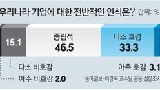 [단독]“기업 호감” 36% “비호감” 17%… ‘反기업 정서’가 달라진다