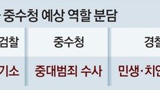 “국수본 1년여만에 또 중수청… 조직구성-역할분담 혼란 우려”