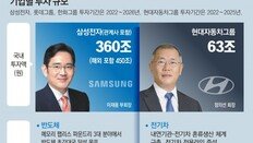 삼성 450조, 현대차 63조, 롯데-한화 37조 “미래산업 투자”