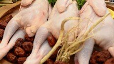 각국 닭고기값 껑충… 우크라戰 여파 사료공급 차질