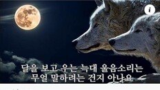 이준석 “나무 베면 얼마나 클지 알수 없어” 노래 공유