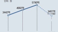 상반기 보증기관이 갚은 전세보증금 3407억… 사상 최대