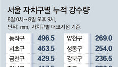 동작구 496mm 내릴때 종로 192mm… 좁고 긴 비구름대 때문