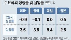 美-獨 등 선진국도 ‘성장 없는 고용’ 기현상…2008년 ‘고용 없는 성장’과 반대