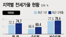 서울 등촌동 빌라 전세가율 105%…정부, 읍면동까지 공개