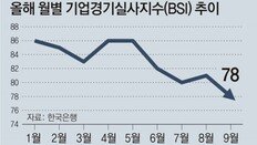 침체 먹구름에… 기업 체감경기 1년7개월만에 최악