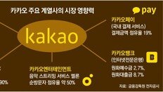 카카오, 점유율 98% 카톡 앞세워 사업 확장… “독점 폐해 낳아”