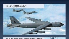 美전략자산 상시배치 수준 전개강화… 한미 “김정은 정권, 핵 사용땐 종말”