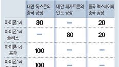 애플, 미국산 반도체 쓴다… 亞서 제조 기반 이전 추진