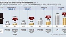 시세 29억 단독주택 보유세, 올해 348만원 → 내년 246만원