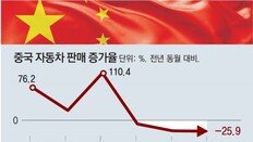 “中 12월 주택거래 37% 급감… 내수 침체에 내년 경제 암울”