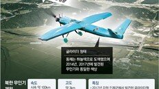 [단독]軍, 이달초부터 ‘北무인기 활동 급증’ 포착하고도 당했다