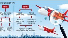 중국인 단기비자 중단… 인천공항 입국만 허용