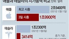 애플, 새해 첫 거래일 시총 2조달러 붕괴… 테슬라는 12% 급락