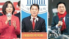 대통령실 “나경원 저출산委 사퇴를”… 羅측 “퇴로 없으면 당대표 출마”