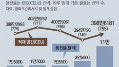 중국車 유럽수출 급증에… “한국車 실을 선박이 없다”