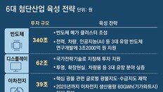 정부, 6대 첨단산업에 550조 민간투자 유치