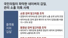 네이버, 검색 알고리즘 조작-가짜후기 방치… 與, 갑질 공청회 연다