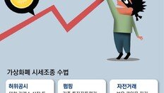 코인 작전세력 활개… 4년전 납치사건에도 대책 손놔 범죄 속출