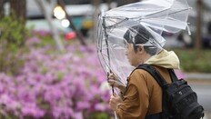 전국 강풍 피해… 일부 항공편 결항-열차 중단