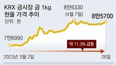 KRX금시장 거래량 한달새 3배 증가… 銀도 강세