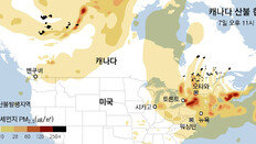 기후변화로 고온건조… 캐나다서만 산불 하루 400여건