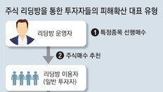 “투자금 환불 가능” 불법 주식리딩방 활개… 4년새 피해 3배 급증