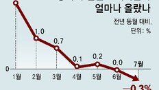 中 7월물가 -0.3%… 중국發 ‘디플레이션의 공포’