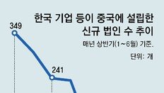 상반기 韓기업 신설법인, 中 87개＜日 118개 ‘탈중국 가속화’… “중국 기업 기술탈취도 영향”