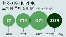 사우디 “비전 2030” 제조업 적극 유치 나서… 韓 기업, 건설 넘어 전기차-조선 투자 확대