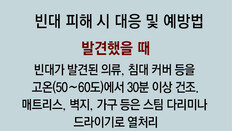 “빈대 나온 옷은 30분 고온 건조… 여행땐 소지품 비닐 밀봉을”