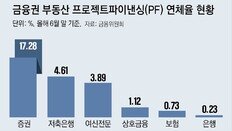 부천 초역세권-청담동 개발도 난항… 부동산PF 다시 부실위기