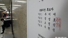 친명 “이재명 대신 싸워줄 사람, 추미애는 대립군” [정치 D포커스]